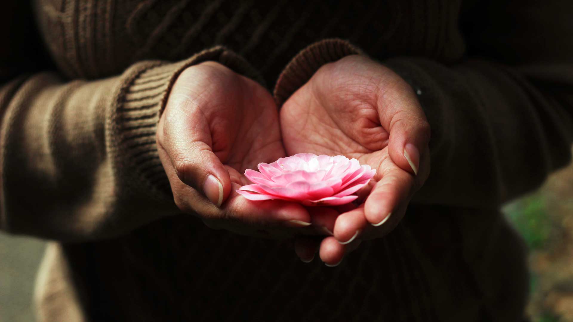 ayurvedska dijagnostika rasayana lotos na dlanu